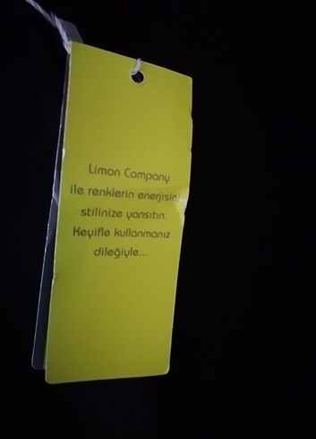 Limon Company Kaşe kaban 