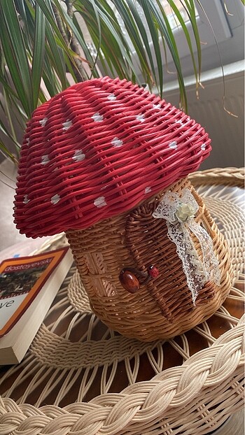 Diğer Rattan mantar ev