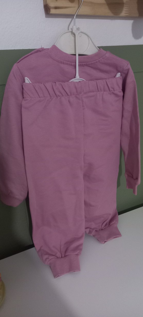 Pembe Uzun Kollu Kelebek Baskılı Bebek Kız Takımı - Görsel 2