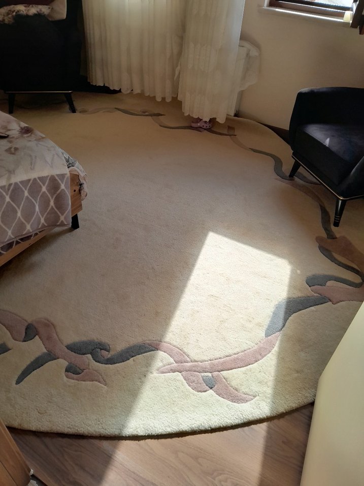 Bej Renkli Modern Halı - Görsel 2