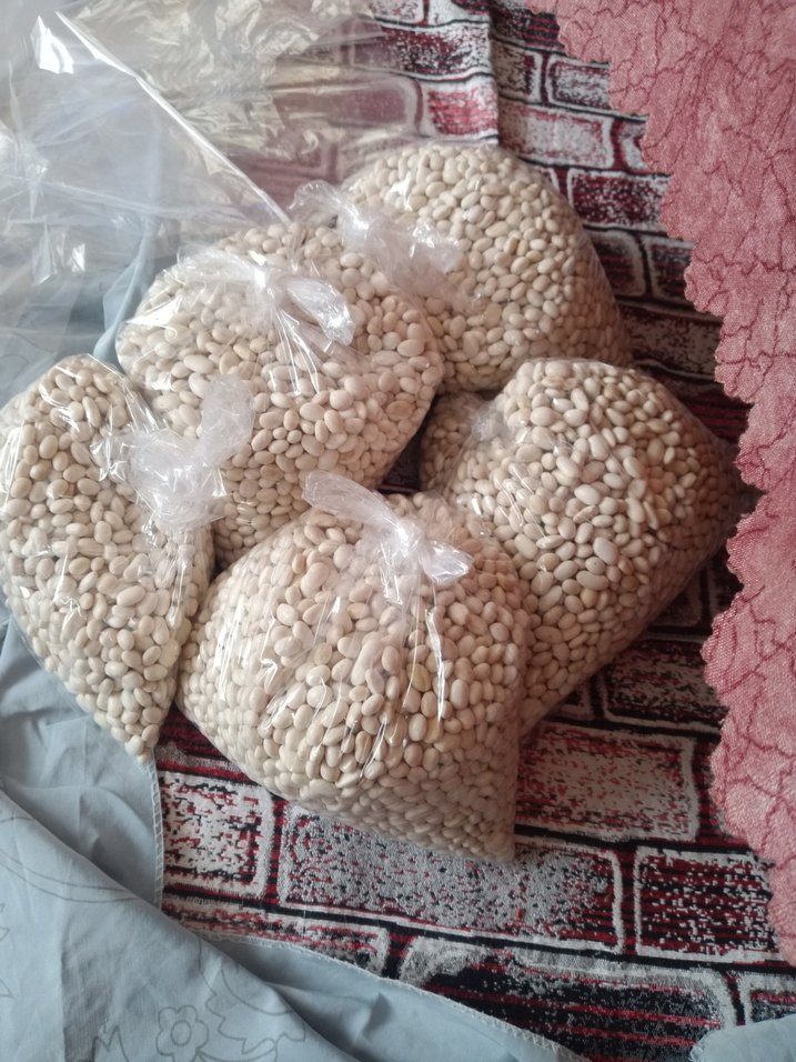 Kuru fasulye ve barbunya - Görsel 2