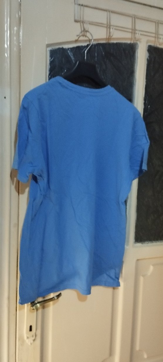 Mavi Erkek Kısa Kollu Tişört - Görsel 2