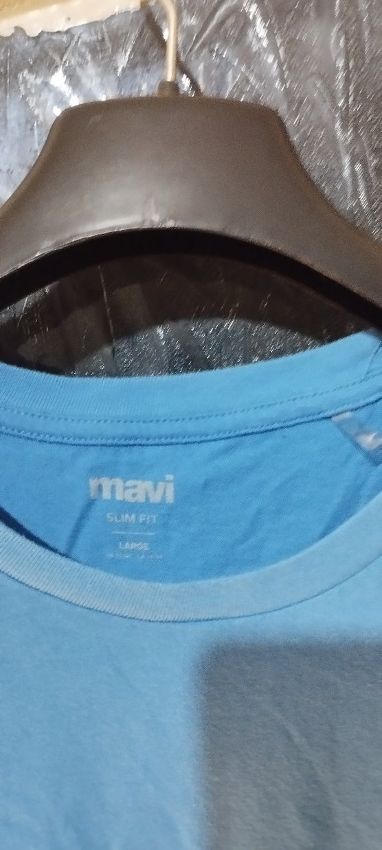 Mavi Erkek Kısa Kollu Tişört - Görsel 3