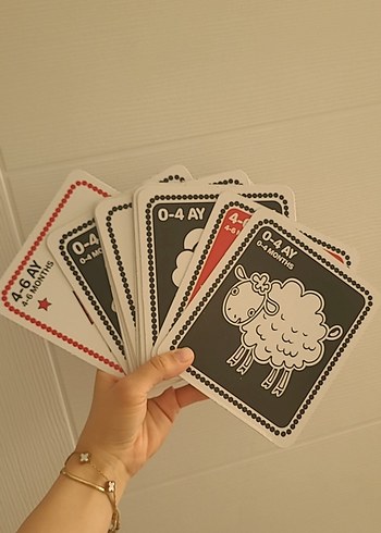 0-12 Ay Bebek Eğitici hafıza Kartları