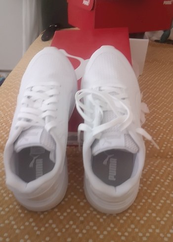 Puma taper