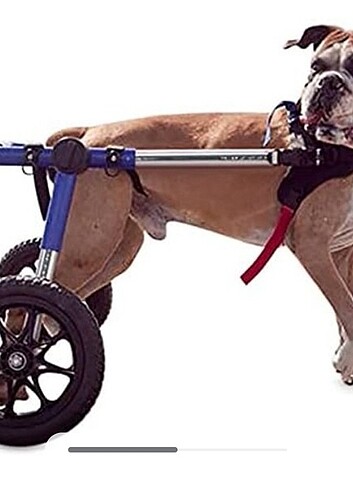 XL KÖPEK YURUTECİ 