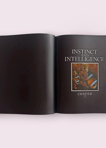 Jacques Cousteau - Ocean World Kitabı - Görsel 9