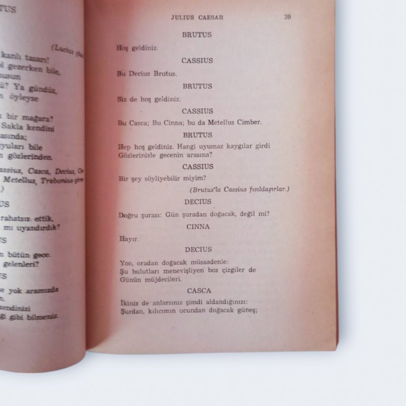 Julius Caesar - Shakespeare, Sabahattin Eyuboğlu Çevirisi - Görsel 5