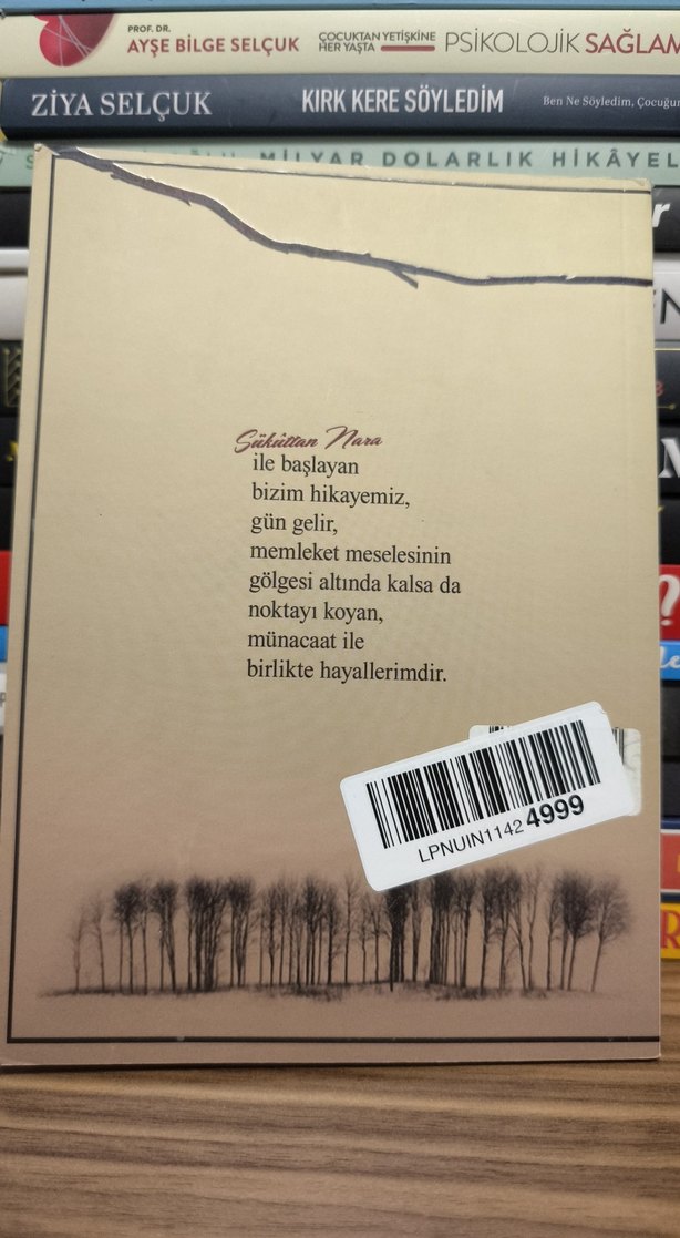 Sükuttan Nara - Faysal Öztürk - Görsel 2
