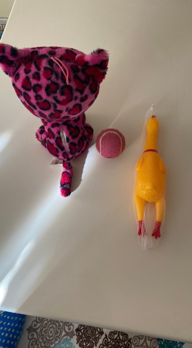 Renkli Peluş Kedi, Top ve Oyuncak Tavuk - Görsel 4