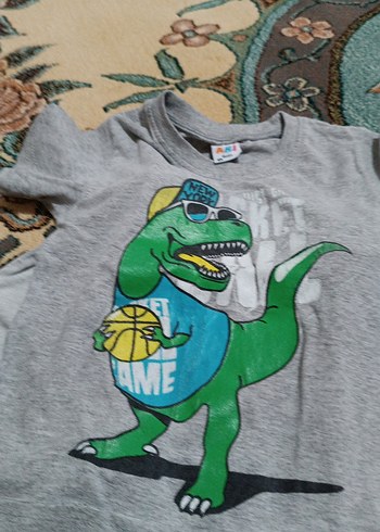 Gri Baskılı Erkek Çocuk Alt Üst Takım - Görsel 4