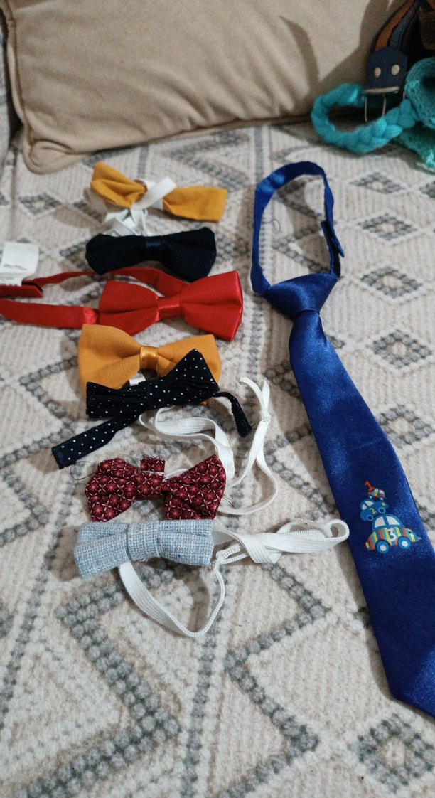 Çocuklar için Renkli Nakışlı Papyon ve Kravat - Görsel 3