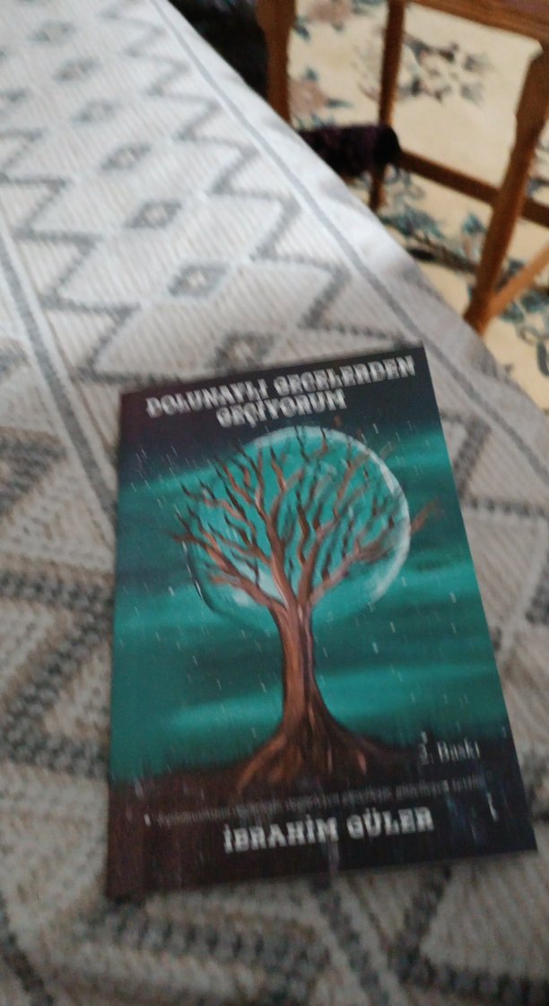 Dolunaylı Gecelerden Geçiyorum - İbrahim Güler - Görsel 2