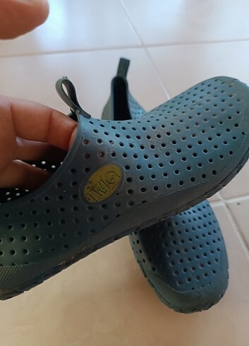 Deniz ayakkabisi - Görsel 2