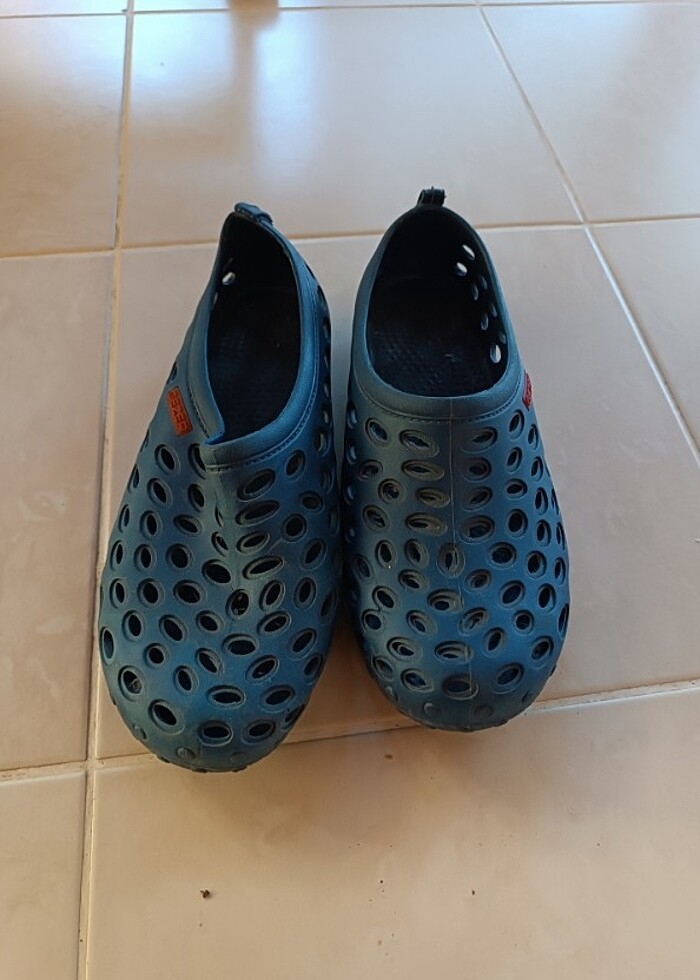 Gezer deniz ayakkabısı - Görsel 2