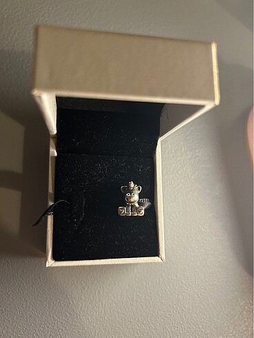 Gümüş charm