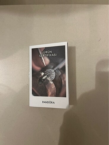 Pandora Gümüş charm