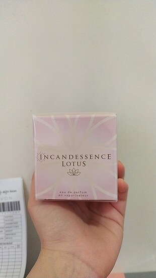 İncandessence lotus 