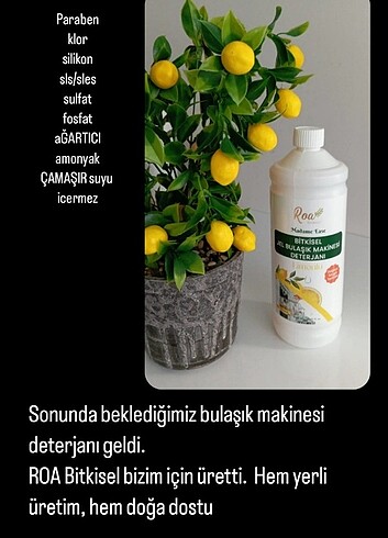Diğer Roa bitkisel