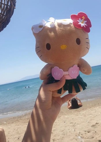 Pastel Pembe Peluş Oyuncak