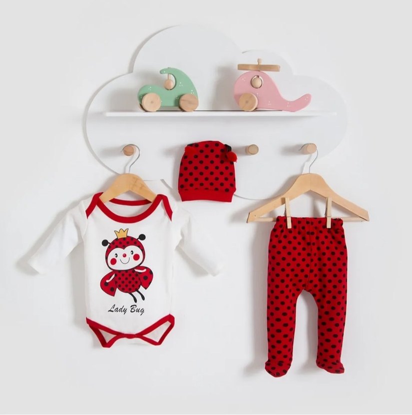 Uzun Kollu Renkli Uğur Böceği Desenli Bebek Body - Görsel 2