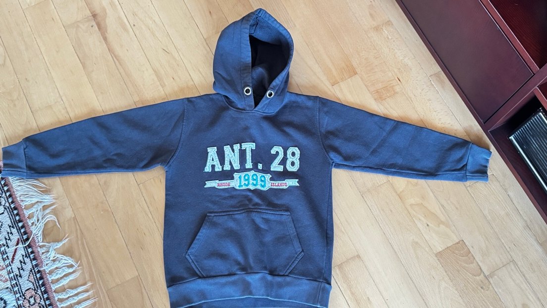 Kapüşonlu Erkek Sweatshirt - Gri, Baskılı - Görsel 2