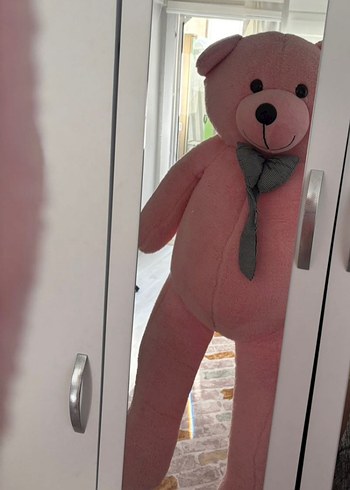 Pastel Pembe Peluş Ayı Oyuncak - Görsel 2