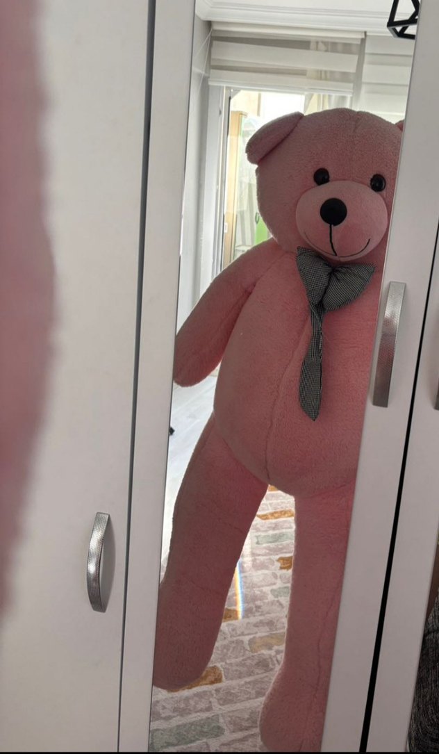 Pastel Pembe Peluş Ayı Oyuncak - Görsel 2