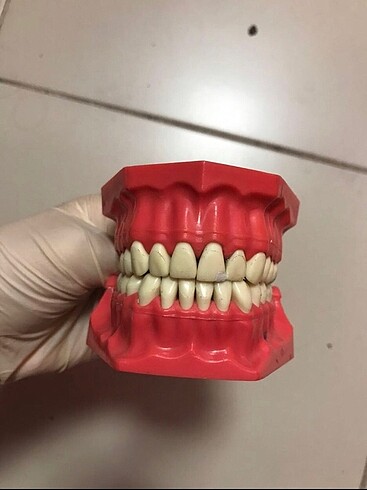 DİŞ HEKİMLİĞİ PLASTİK DİŞ