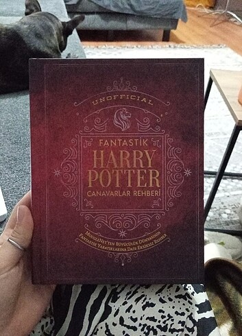 Harry Potter kitabı