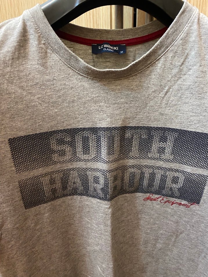 Gri Baskılı Erkek Kısa Kollu Tişört - Görsel 2