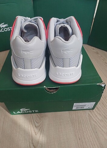 40 Beden pembe Renk Lacoste 