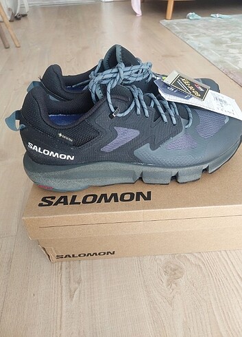 Salomon