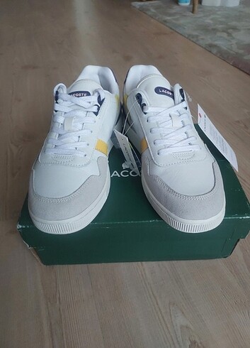 Lacoste Lacoste 
