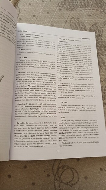  Beden İnsan anatomisi kitapi