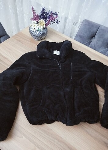 Tasarımcı xl.