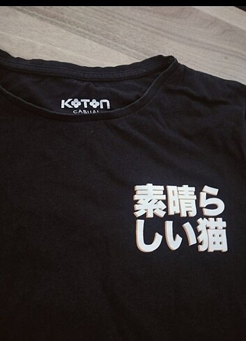 m Beden Koton..m