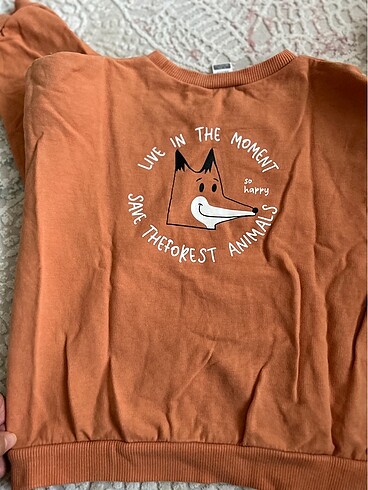 4 Yaş Beden turuncu Renk Lcwaikiki sweatshirt