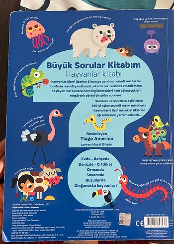  Beden Renk Büyük Sorular Kitabım: Hayvanlar