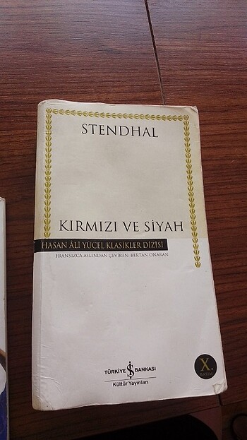 Hasan Ali Yücel Klasikleri Kırmızı ve Siyah