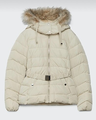 Stradivarius mont