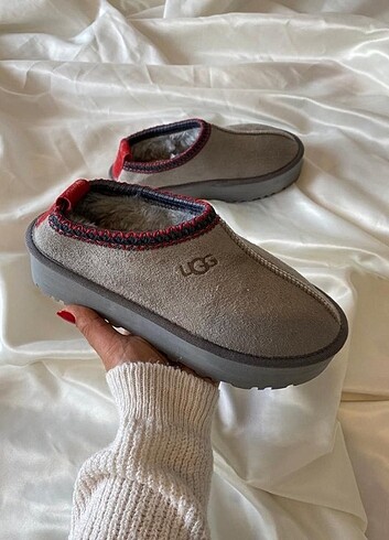 Ugg UGG TAZZ SLİPPER 