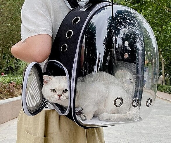 Kedi taşıma çantası