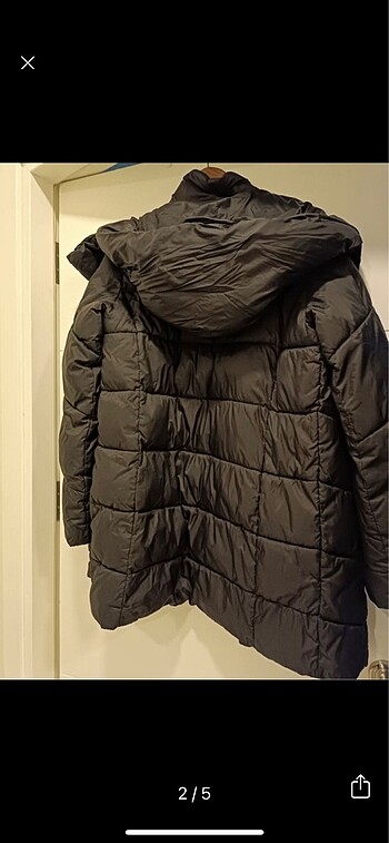 Stradivarius Stadivarius mont