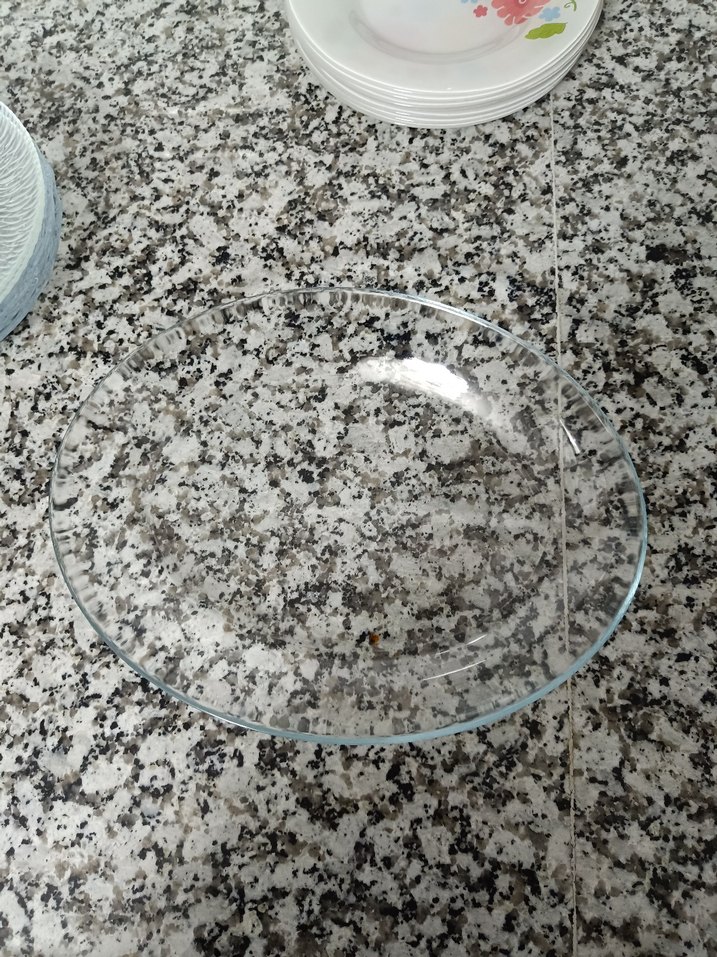 Şeffat tabak seti +servis tabağı - Görsel 5