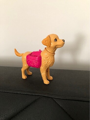 Barbie kaka eğitimi köpeği
