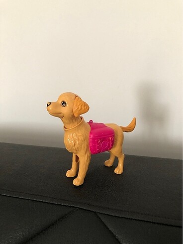 Barbie Barbie kaka eğitimi köpeği