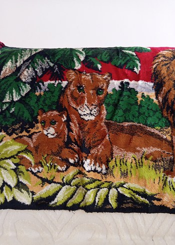 DUVAR HALISI - Görsel 4