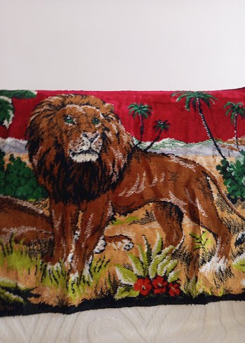 DUVAR HALISI - Görsel 5