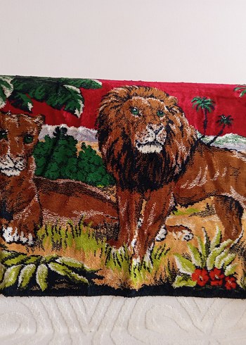 DUVAR HALISI - Görsel 6